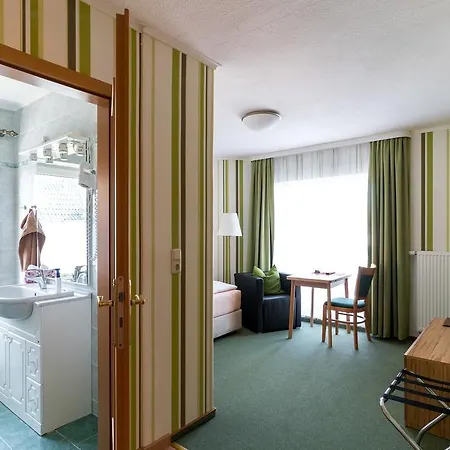 飞鹰酒店 Wißmar